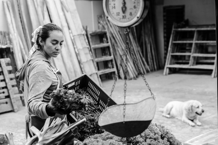 Ruth Zamudio vend ses légumes au marché bio de Fusagasuga, où l'économie sociale et solidaire est encouragée.